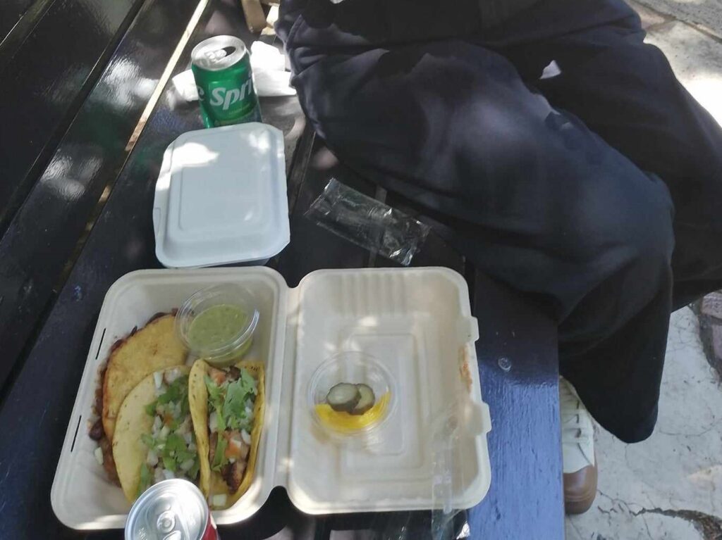 TAJIMA TACOSのタコスとケサディーヤを公園で食べる